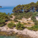 BONUS Landingpage Novasol 01 20220318 1024x365 1 BONUS Landingpage Novasol 01 20220318 1024x365 1