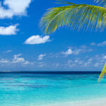 Bonus Landingpage Header 2000x480px 20220920 Bonus Landingpage Header 2000x480px 20220920