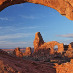 135415 BONUS Website Header 2000x500px Calphadogdesign 135415 BONUS Website Header 2000x500px Calphadogdesign