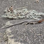 20250829 093821 20250829 093821