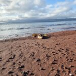 20250829 174814 20250829 174814