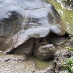 20250901 083242 20250901 083242