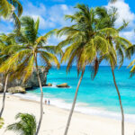 Bonus Landingpage 600px 20241016 Bonus Landingpage 600px 20241016