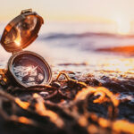 Pauschalreise Buchen 800x670px Pauschalreise Buchen 800x670px