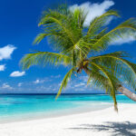 Schoenste Inseln Schoenste Inseln