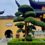 China 2024 China 2024