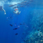 Landingpage Aldiana Galerie 02 20260316 Landingpage Aldiana Galerie 02 20260316