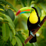 Urlaubsplus Mailing KW25 CostaRica Urlaubsplus Mailing KW25 CostaRica